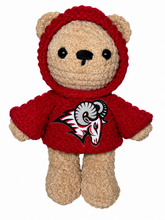 Load image into Gallery viewer, Lake Mary Mascot Spirit Bear
