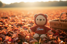 Load image into Gallery viewer, Handmade Crochet Hoodie Bear – Inspirational Stuffed Animal – Positive Affirmation Gift – Faith Based Plush