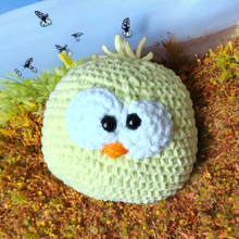 Load image into Gallery viewer, Krazy Birds
