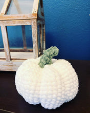 Load image into Gallery viewer, Fall Pumpkins Crochet Pumpkins Seasonal Plushie Pumpkins
