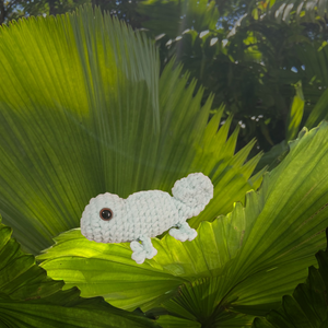 Carter the Chameleon