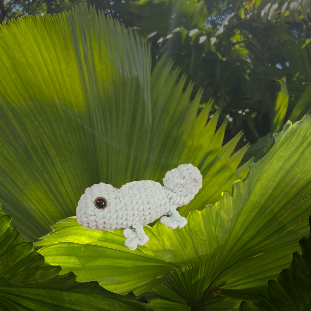 Carter the Chameleon