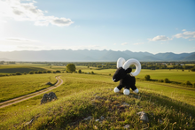 Load image into Gallery viewer, Crochet Black Ram Plush – Amigurumi Ram with White Horns – Handmade Stuffed Farm Animal
